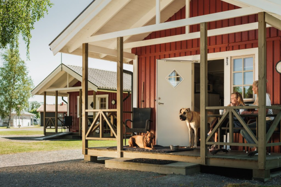 Röd stuga på Kronocamping med en hund på verandan.